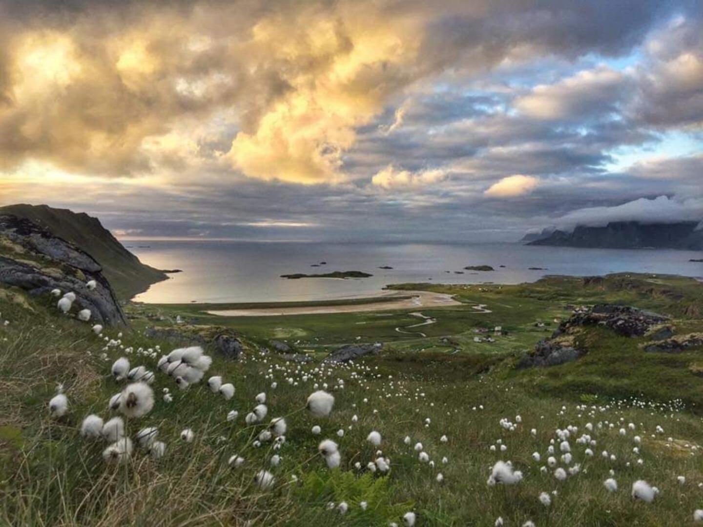 Fredvang Farm House, Lofoten Bagian luar foto